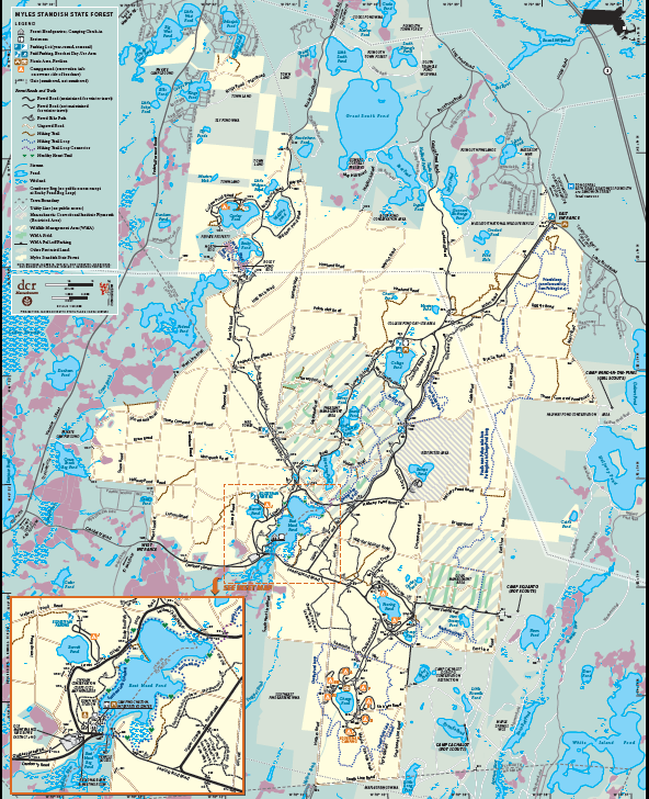 Friends of Myles Standish State Forest